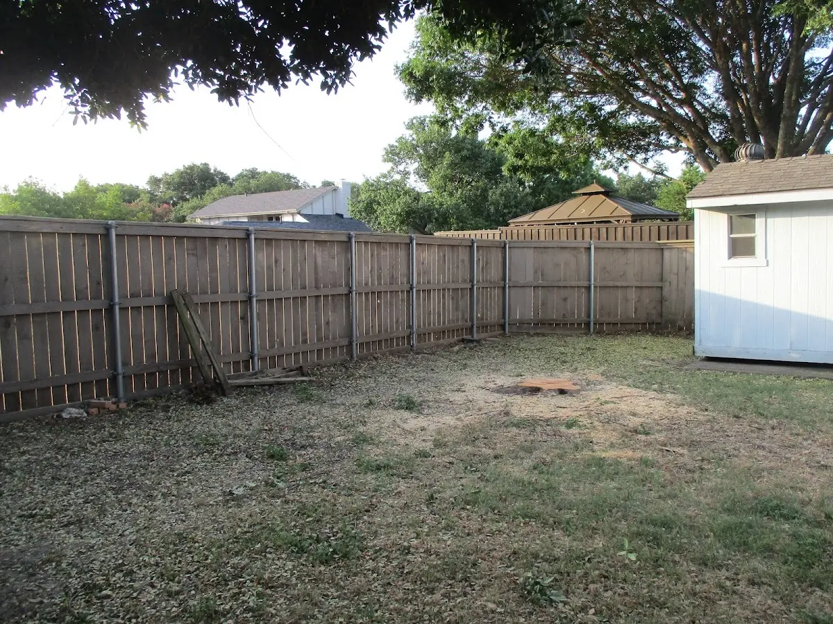Cleared yard after professional tree removal in Graham